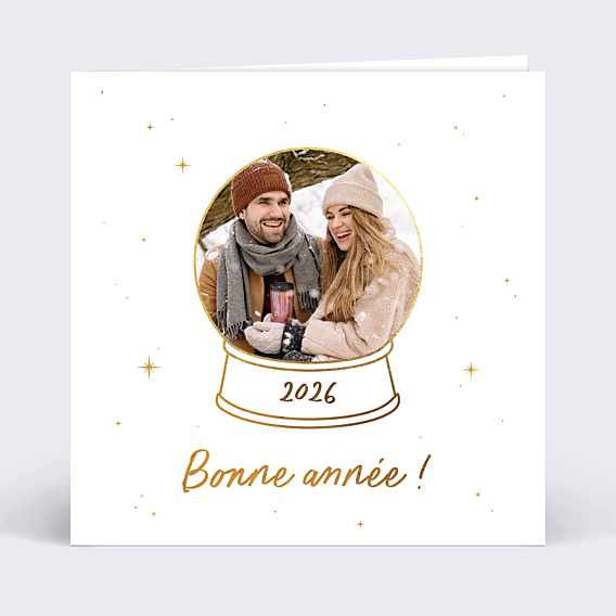 Carte de Voeux Particuliers Boule à Neige Photo