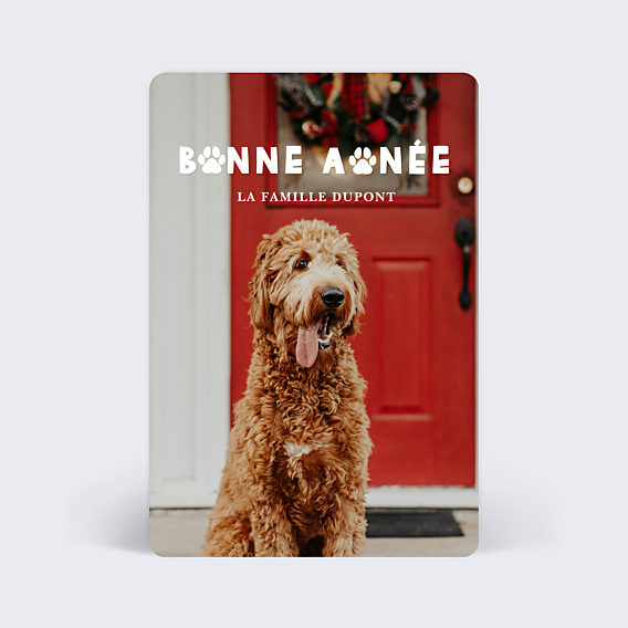 Carte de Voeux Particuliers Bonne patte
