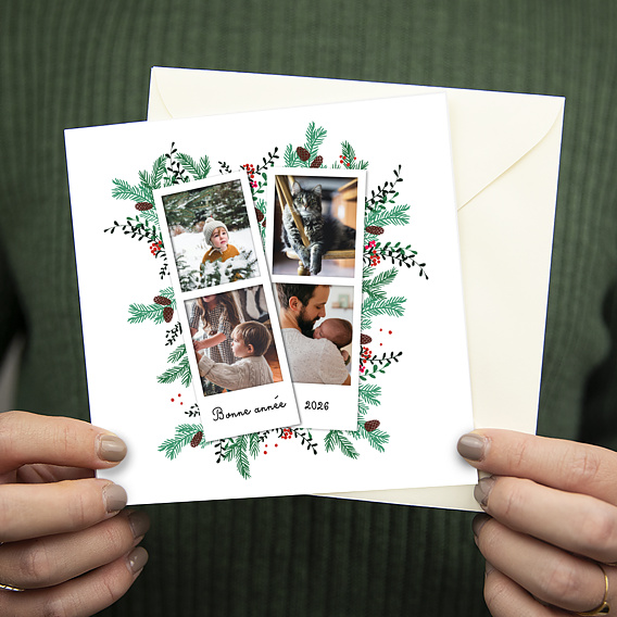 Carte de Voeux Particuliers Double Pola Pommes de Pin