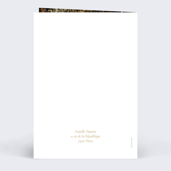 Carte de voeux Guirlande bonne année Verso