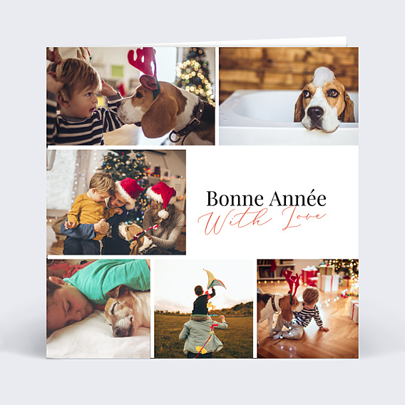 Carte de Voeux Particuliers Bel Hiver