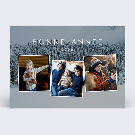 Carte de Voeux Particuliers La Belle Vie