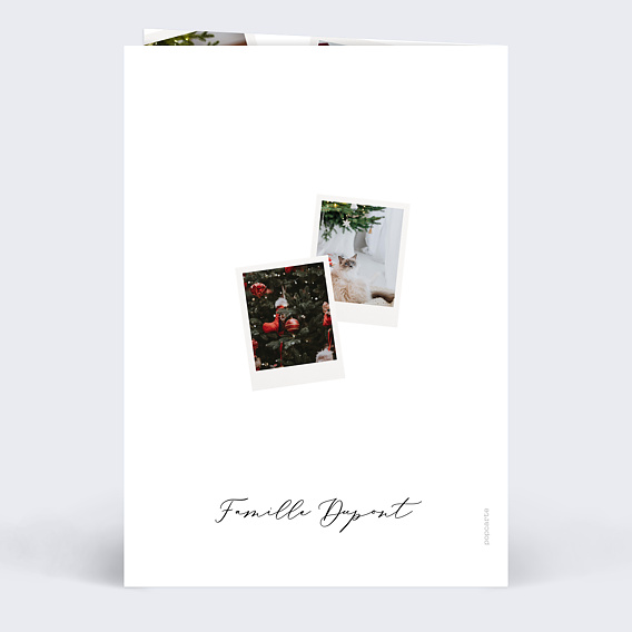 Carte de Voeux Particuliers Pêle-Mêle Polaroid
