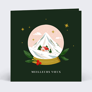 Carte de Voeux Particuliers Boule  neige