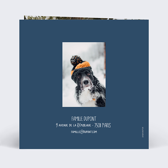 Carte de voeux Découpe Souhaits Verso