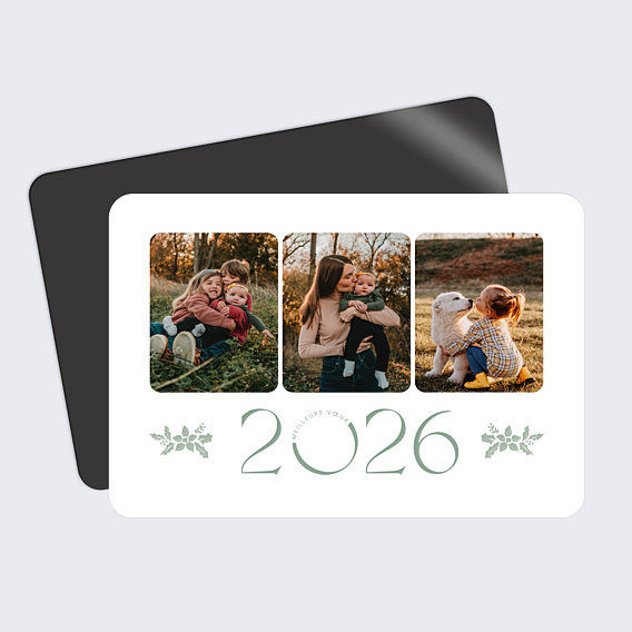 Carte de Voeux Particuliers Frivolité