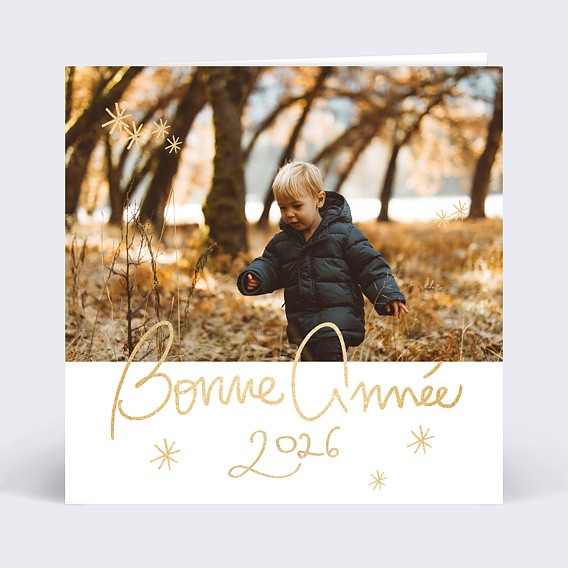 Carte de voeux Souhait Festif avec Graines Recto