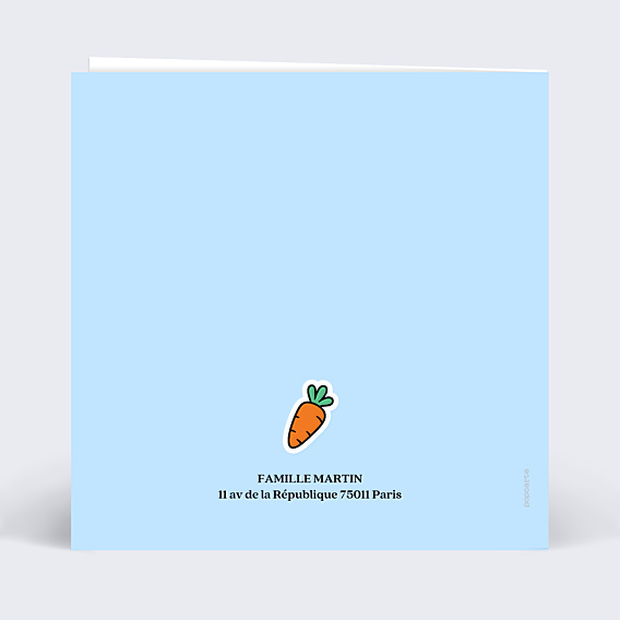 Carte de Voeux Particuliers Bonhomme de neige pop
