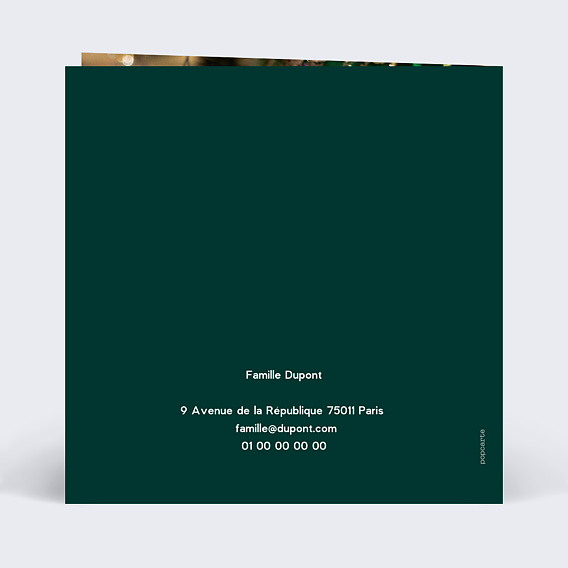 Carte de voeux Chat et Couronne de Noël Verso