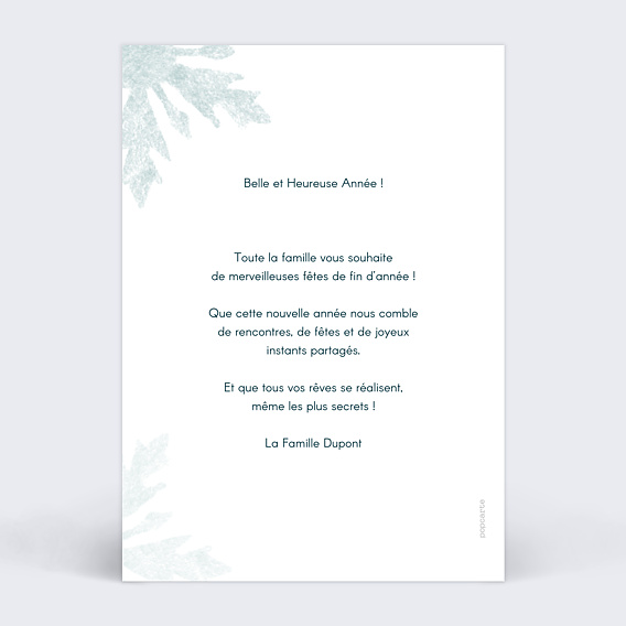 Carte de Voeux Particuliers Flocon bleu photo
