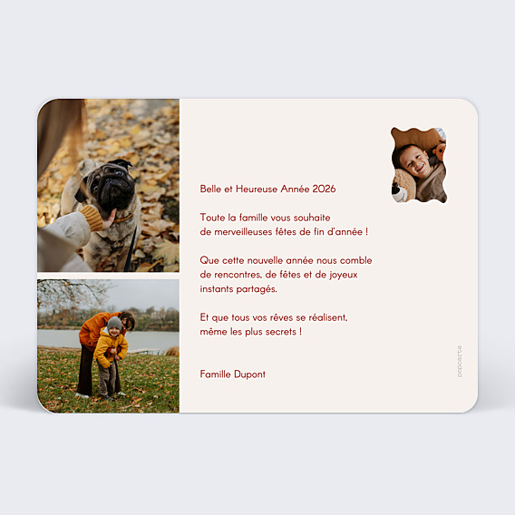 Carte de Voeux Particuliers Nouvelle année colorée