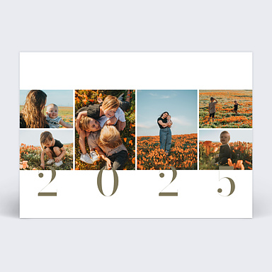 Carte de Voeux Particuliers Anne en grand