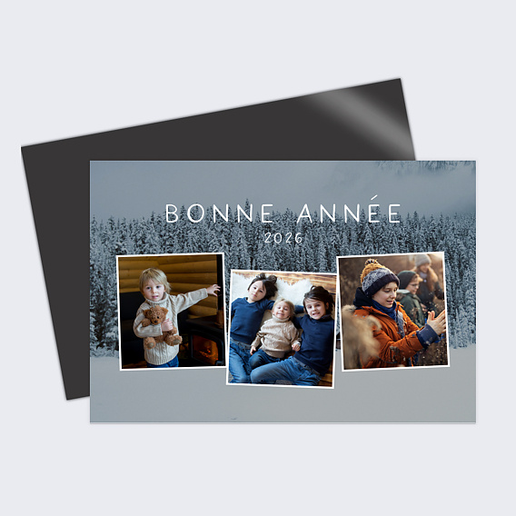 Carte de voeux La Belle Vie