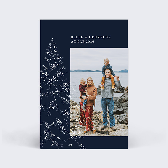 Carte de Voeux Particuliers Sous la neige photo