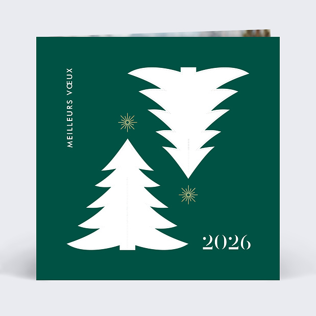 Carte de Voeux Particuliers Découpe Montage Sapins Recto