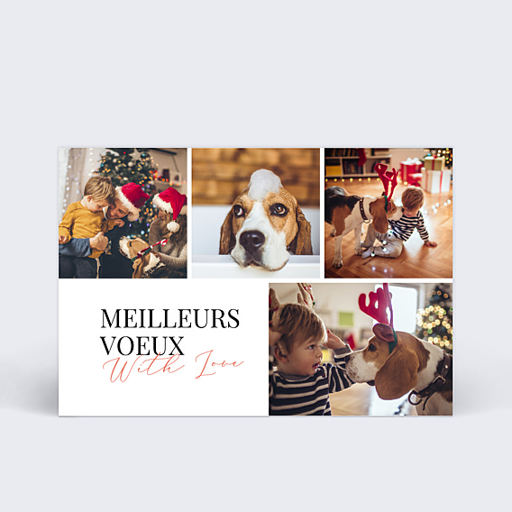 Carte de Voeux Particuliers Bel Hiver