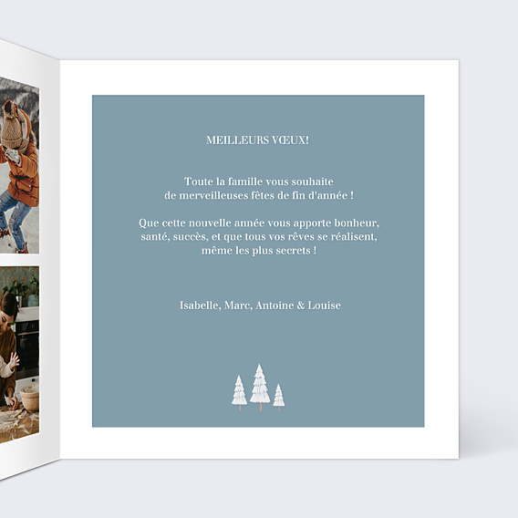Carte de Voeux Particuliers Forêt de Sapins