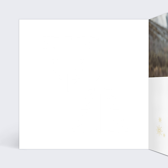 Carte de Voeux Particuliers Découpe Montage Sapins