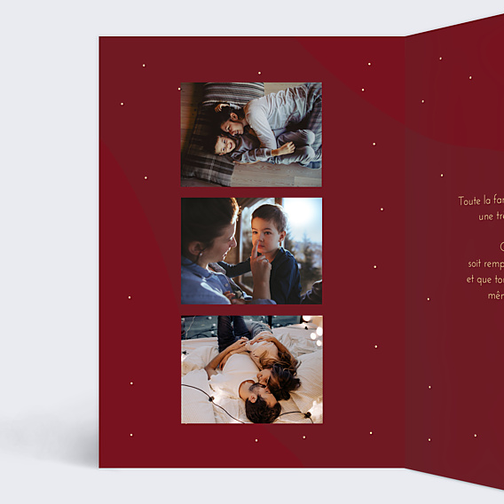 Carte de Voeux Particuliers Bandeau Branchage