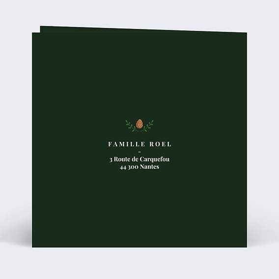 Carte de voeux Boule à neige paysage Verso