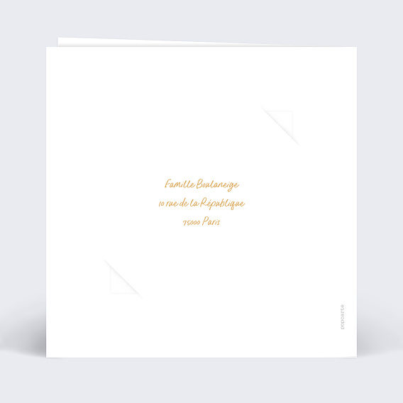 Carte de voeux Boule à Neige avec Graines Verso