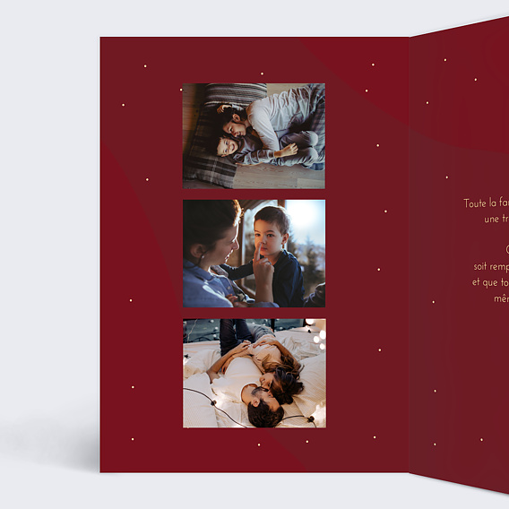 Carte de voeux Bandeau Branchage Intérieur Gauche