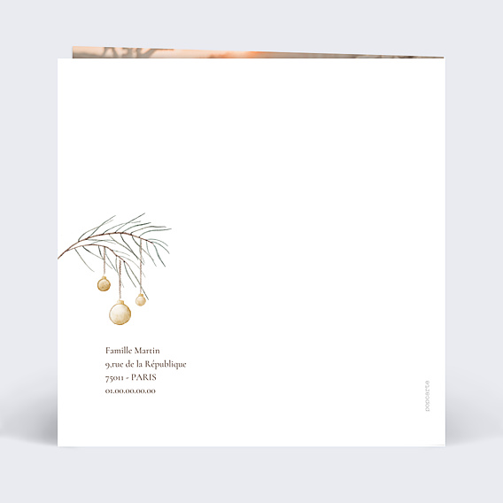 Carte de Voeux Particuliers Petit Rouge Gorge