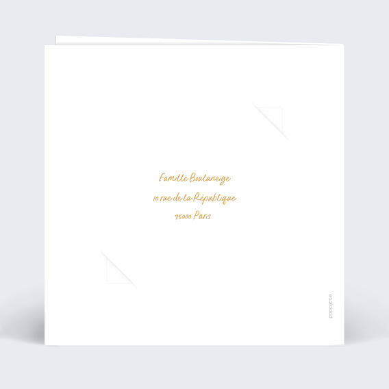 Carte de Voeux Particuliers Boule à Neige avec Chocolat
