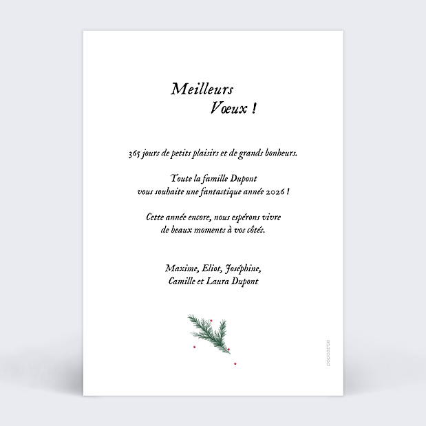 Carte de Voeux Particuliers Cadre pin Verso