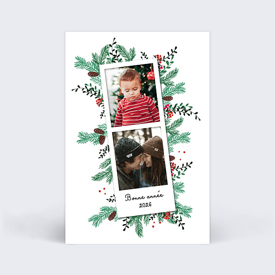 Carte de Voeux Particuliers Double Pola Pommes de Pin