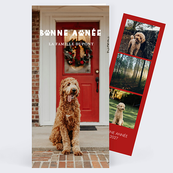 Carte de Voeux Particuliers Bonne patte