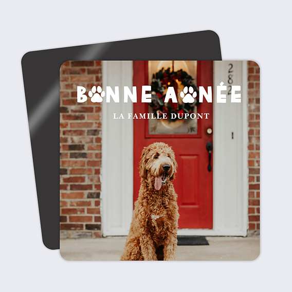 Carte de voeux Bonne patte