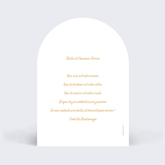 Carte de Voeux Particuliers Boule à Neige Photo