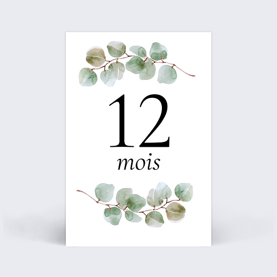 Carte Étape Bébé Eucalyptus