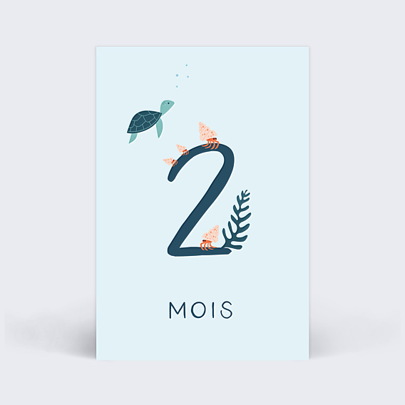 Carte Étape Bébé Océan de Bonheur