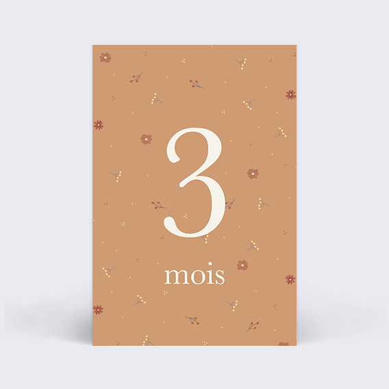 Carte Étape Bébé Renardeau