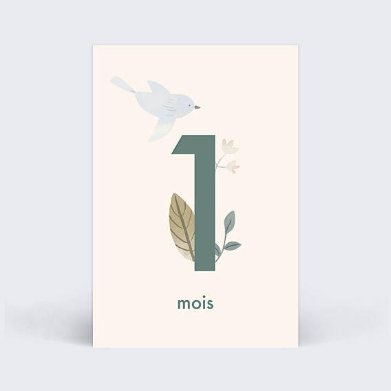 Carte Étape Bébé Magnolia