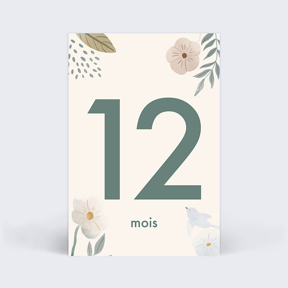 Carte étape bébé Magnolia Carte 6