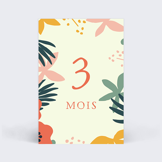 Carte étape bébé Ma Première Année Carte 4