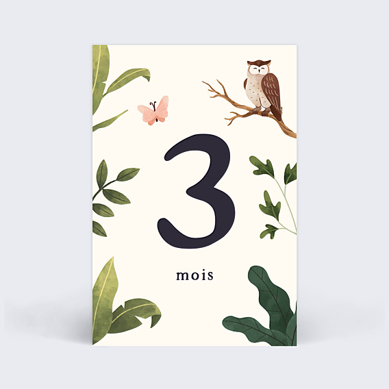 Carte Étape Bébé Jolie Forêt