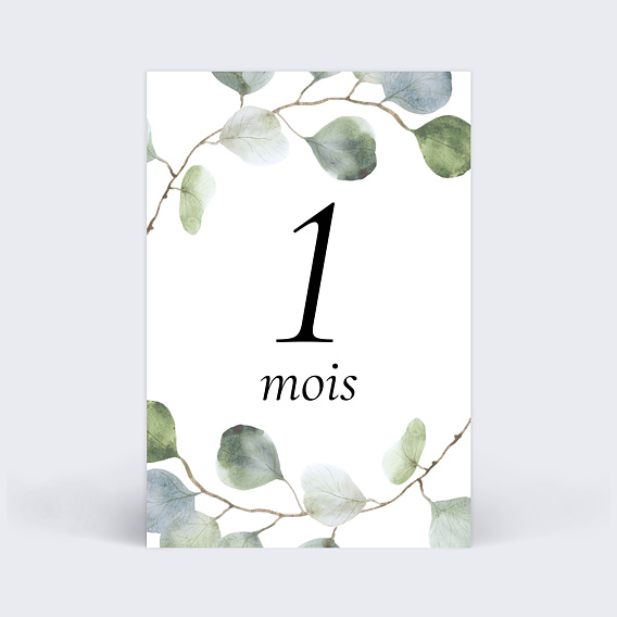 Carte étape bébé Eucalyptus Carte 2