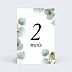 Carte Étape Bébé Eucalyptus