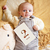 Carte étape bébé Renardeau