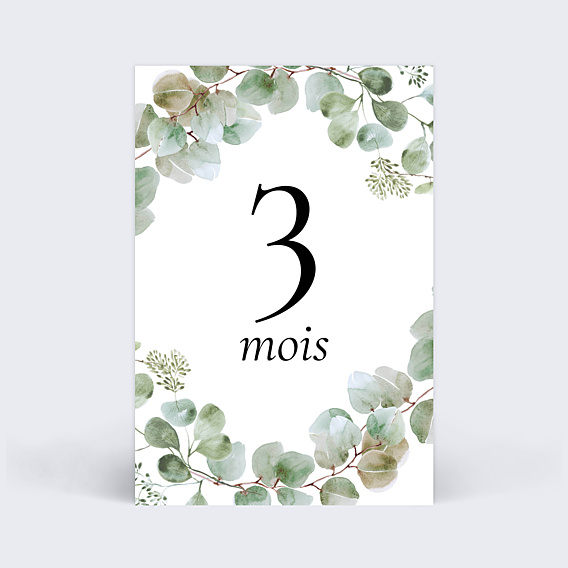 Carte Étape Bébé Eucalyptus