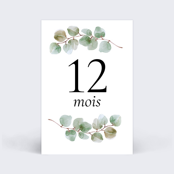 Carte étape bébé Eucalyptus Carte 6