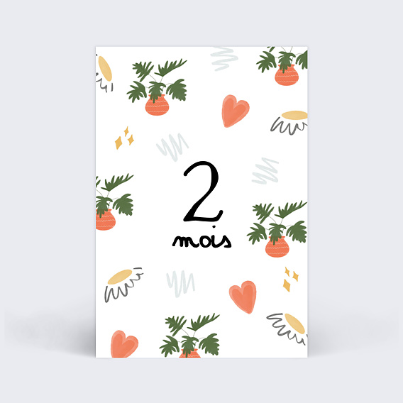 Carte étape bébé Pack Coloré Carte 3