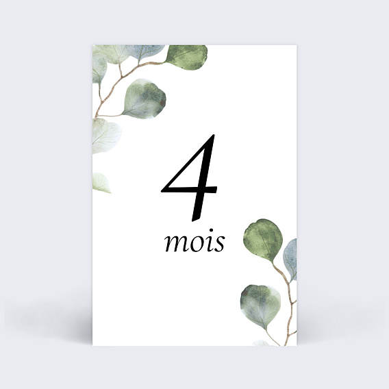 Carte Étape Bébé Eucalyptus