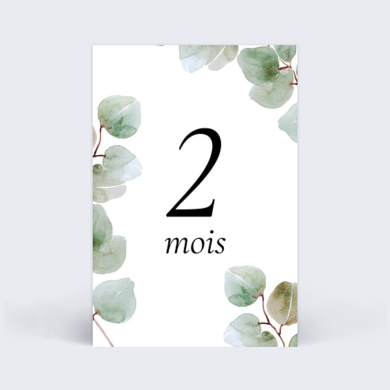 Carte Étape Bébé Eucalyptus
