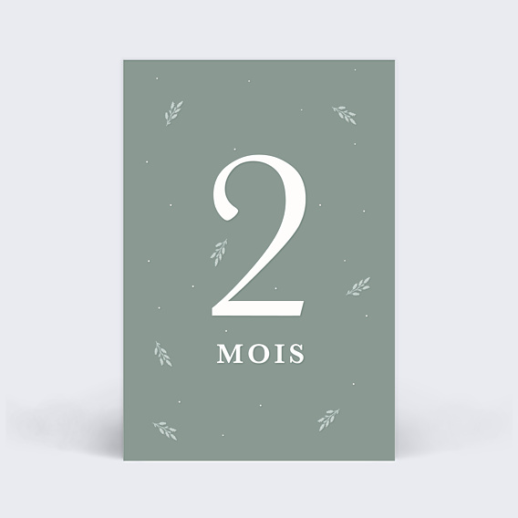 Carte Étape Bébé Liberty