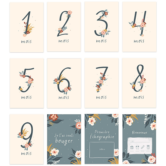 Carte étape bébé Jolie Cigogne Après 4